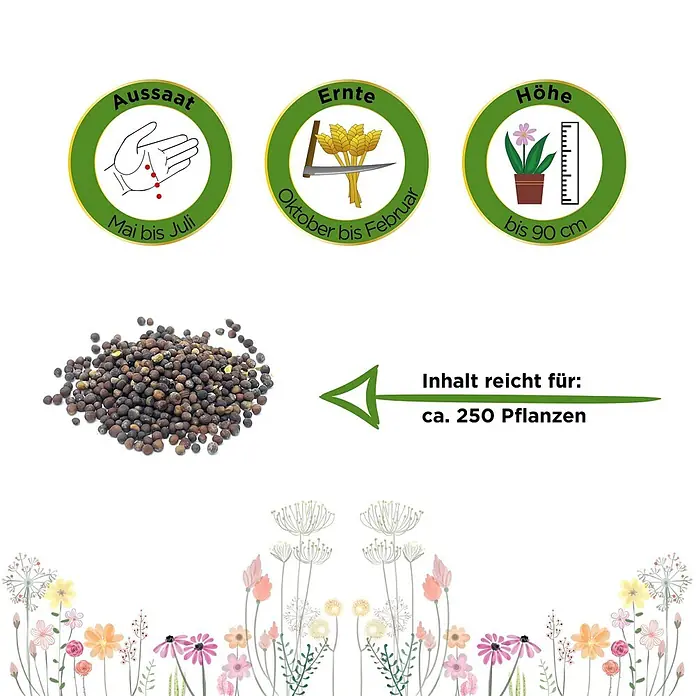 Deine Gartenwelt Grünkohl Halbhoher grüner Krauser -  - Saatgut-Info mit Aussaat (Mai-Juli), Ernte (Okt-Feb), Höhe (bis 90cm) & ca. 250 Pflanzen, plus Samen.