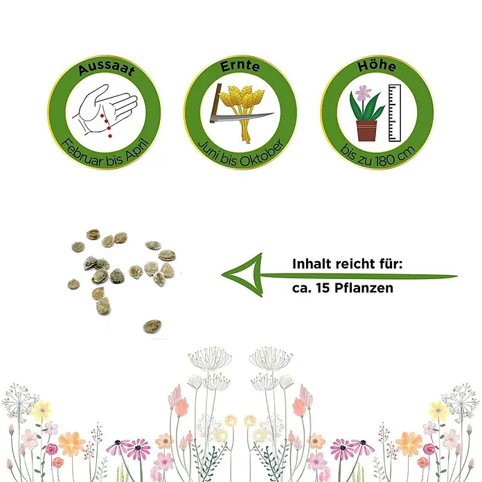 Deine Gartenwelt Gemüsesamen Fleischtomate - Solanum lycopersicum, Erntezeit: Juni - Samen mit Symbolen für Aussaat (Feb-Apr), Ernte (Jun-Okt), Wuchshöhe (bis 180 cm) und Ertrag (ca. 15 Pflanzen).