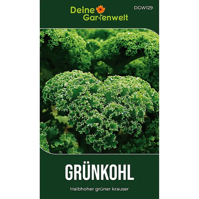 Deine Gartenwelt Grünkohl Halbhoher grüner Krauser -  - Samentüte für Grünkohl mit einem Bild von leuchtend grünem Grünkohl und Wassertropfen.