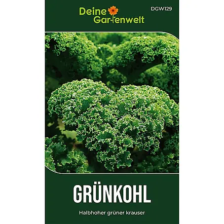 Deine Gartenwelt Grünkohl Halbhoher grüner Krauser