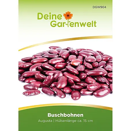 Deine Gartenwelt Kidneybohne Augusta