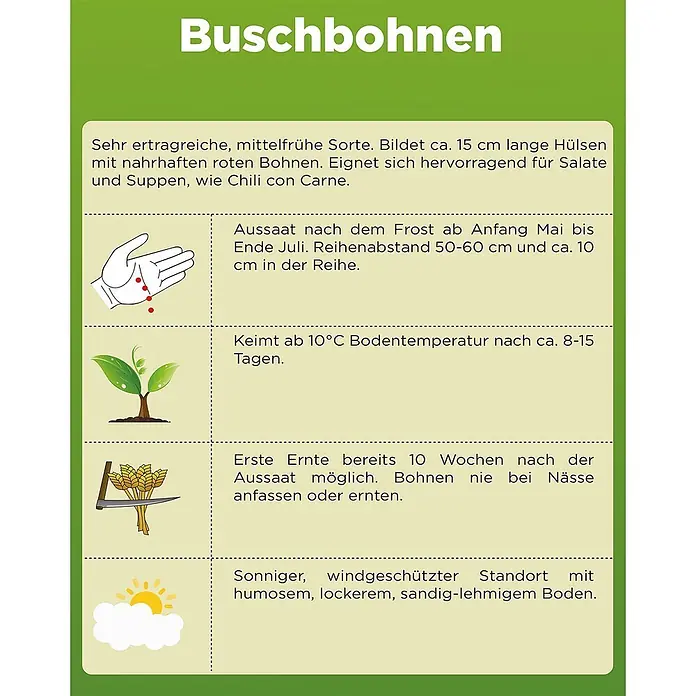 Deine Gartenwelt Kidneybohne Augusta -  - Anleitung zum Anbau von Buschbohnen mit Tipps zu Aussaat, Keimung und Ernte.