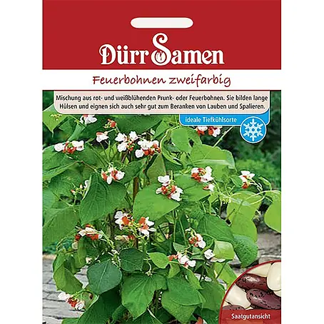 Dürr Samen  Gemüsesamen Feuerbohne