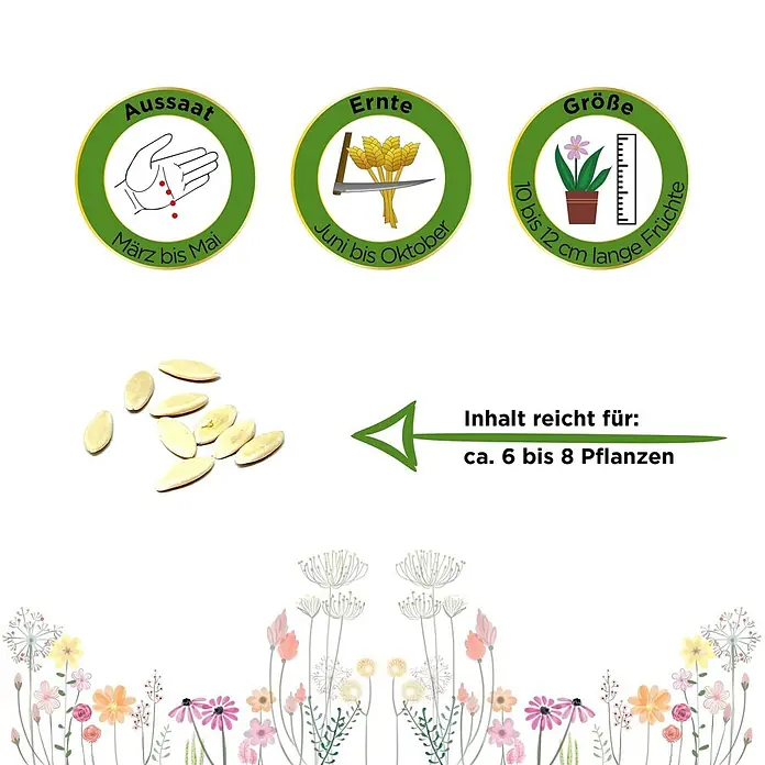 Deine Gartenwelt Mini-Snackgurke Salamanda F1 -  - Samenpackungsinformationen mit Angaben zu Aussaat, Ernte, Fruchtgröße und Ertrag, neben hellen ovalen Samen.