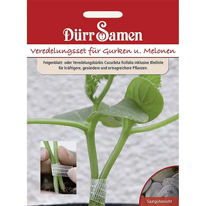 Dürr Samen Gemüsesamen Set - Mischung, Erntezeit: Sortenabhängig - Veredelungsset für Gurken und Melonen mit Feigenblattkürbis-Samen. Zeigt Veredelungstechnik und Samenansicht.