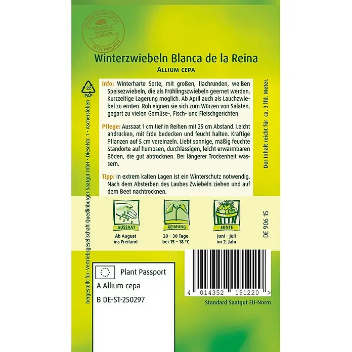 Quedlinburger SAATGUT Winter-Zwiebeln Blanca de la -  - Grünes und gelbes Samentütchen für Winterzwiebeln 'Blanca de la Reina' (Allium cepa) mit Aussaat-, Keim- und Ernteinformationen.