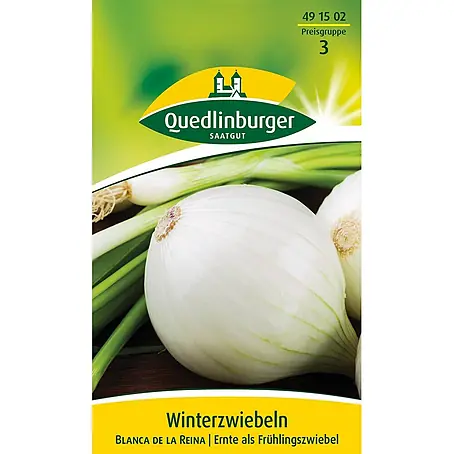 Quedlinburger SAATGUT Winter-Zwiebeln Blanca de la