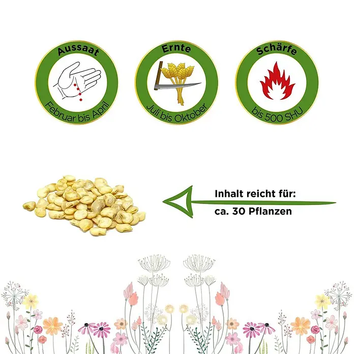 Deine Gartenwelt Chili Lombardo -  - Haufen heller Pfeffersamen mit Symbolen für Aussaat (Feb-Apr), Ernte (Jul-Okt), Schärfe (bis 500 SHU) und ausreichend für 30 Pflanzen.