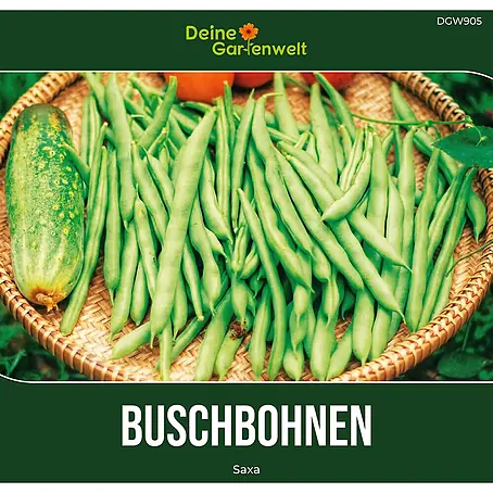 Deine Gartenwelt Buschbohne Saxa