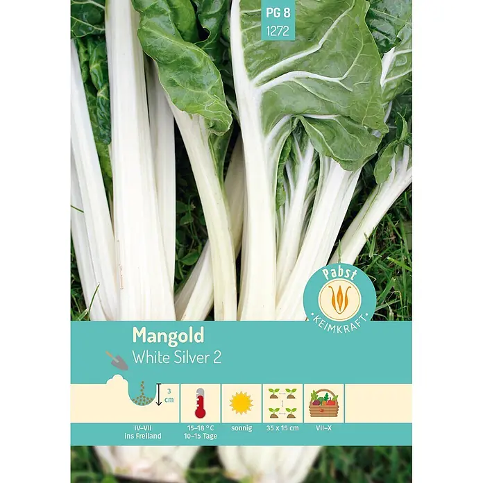 Pabst Keimkraft Gemüsesamen Mangold - Beta vulgaris var. vulgaris, Erntezeit: Juli - Weißer Mangold 'White Silver 2' mit grünen Blättern und Pflanzanleitung für Anbau und Ernte.