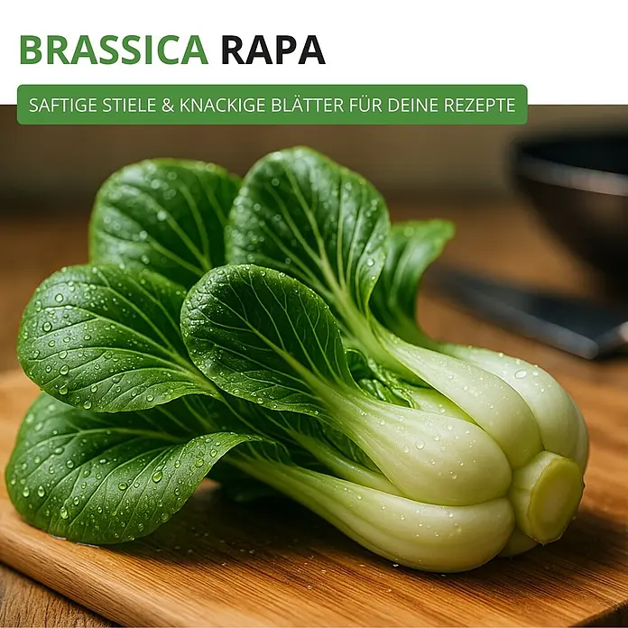 Deine Gartenwelt Pak Choi -  - Frische Brassica Rapa (Pak Choi) mit grünen Blättern und weißen Stielen, bedeckt mit Wassertropfen, auf einem Holzschneidebrett.