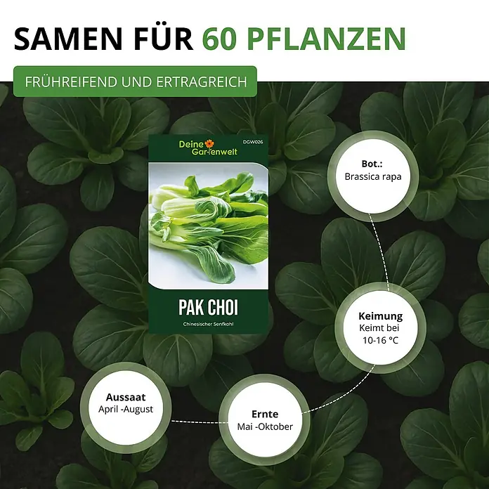 Deine Gartenwelt Pak Choi -  - Pak Choi Samenpackung mit Pflanzenbild, Angaben zu Aussaat, Keimung und Ernte. Frühlreifende und ertragreiche Sorte.