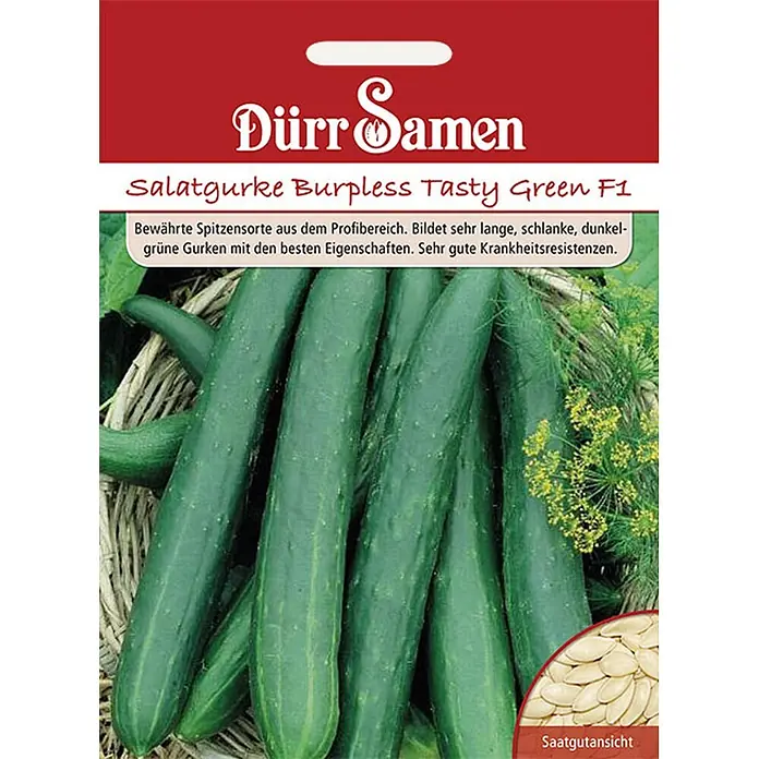 Dürr Samen Gemüsesamen Salatgurke - Cucumis sativus, Erntezeit: Juli - Rote und weiße Dürr Samen Saatguttüte für Burpless Tasty Green F1 Salatgurken, zeigt grüne Gurken und Samen.