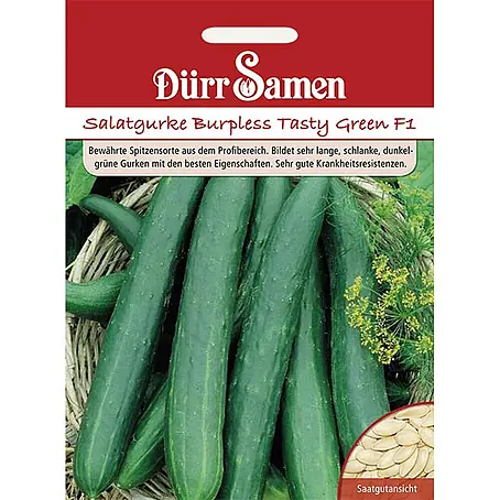 Dürr Samen  Gemüsesamen Salatgurke