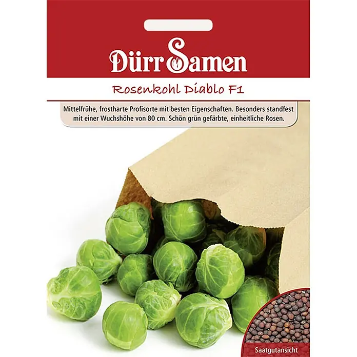Dürr Samen Gemüsesamen Rosenkohl - Brassica oleracea, Erntezeit: Juli - Dürr Samen Saatguttüte für Rosenkohl 'Diablo F1', mit grünen Rosenkohlröschen und einer Nahaufnahme der Samen.