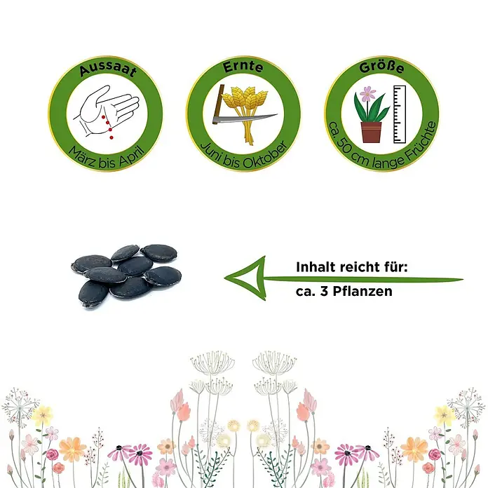 Deine Gartenwelt Schwammgurke Luffa -  - Schwarze Samen mit Piktogrammen für Aussaat (März-April), Ernte (Juni-Okt), Fruchtgröße (ca. 50 cm) und Packungsinhalt (für ca. 3 Pflanzen).