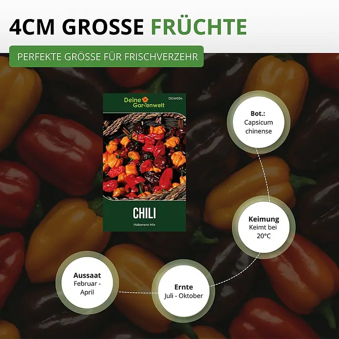 Deine Gartenwelt Chilli Habanero Mix -  - Chili-Samenpackung 'Habanero Mix' mit bunten Habaneros, Details zur Aussaat, Ernte und 4cm großen Früchten.
