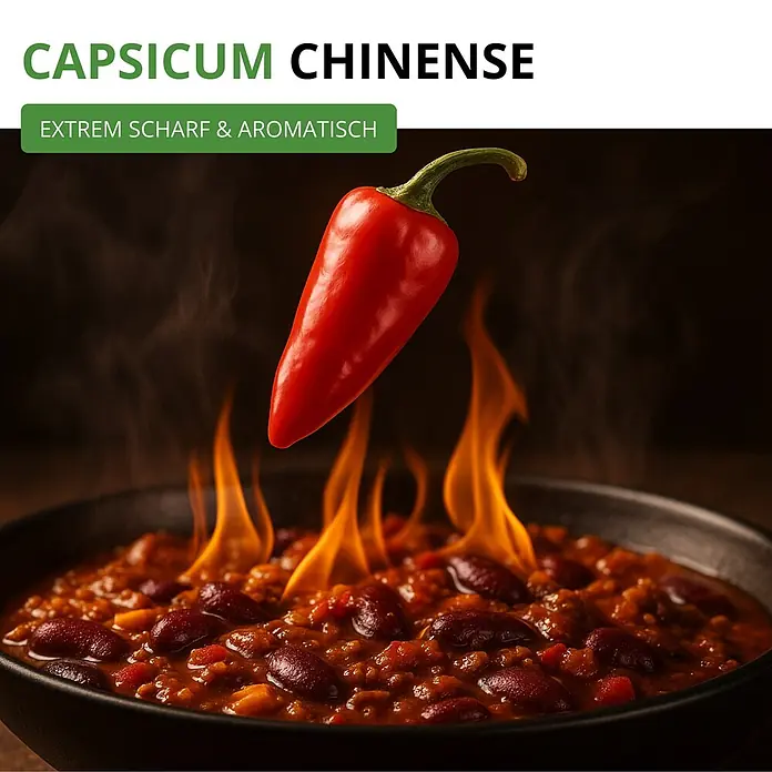 Deine Gartenwelt Chilli Habanero Mix -  - Eine rote Capsicum Chinense Chili-Schote schwebt über einer Schüssel feurig heißem Chili con Carne mit Flammen, was extreme Schärfe und Aroma signalisiert.