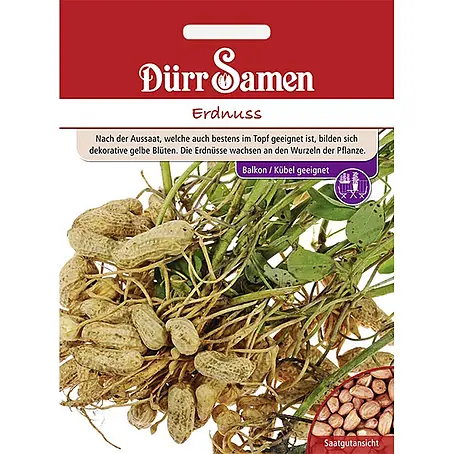 Dürr Samen  Gemüsesamen Erdnuss