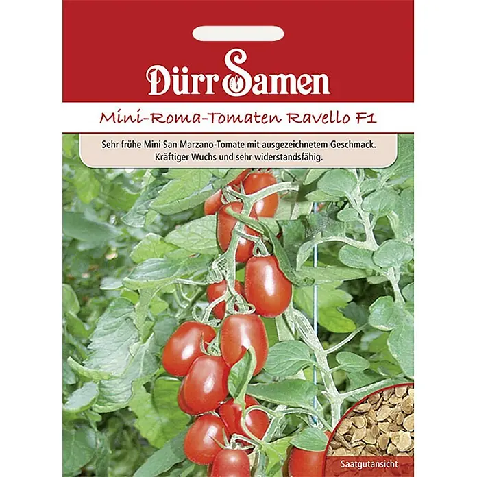 Dürr Samen Gemüsesamen Tomate - Lycopersicon lycopersicum, Erntezeit: Juli - Dürr Samen Ravello F1 Mini-Roma Tomaten Saatguttüte mit roten Tomaten am Strauch und Samenansicht.