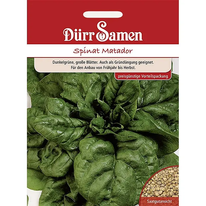 Dürr Samen Gemüsesamen Spinat - Spinacia oleracea, Erntezeit: Mai