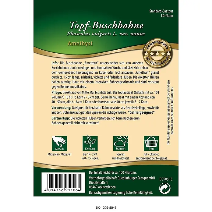 Quedlinburger SAATGUT Gemüsesamen Buschbohne - Phaseolus vulgaris, Erntezeit: Juli - Samentüte für Topf-Buschbohne 'Amethyst' (Phaseolus vulgaris L. var. nanus), mit Pflanz- und Pflegehinweisen.