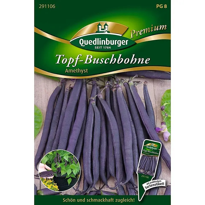 Quedlinburger SAATGUT Gemüsesamen Buschbohne - Phaseolus vulgaris, Erntezeit: Juli - Quedlinburger 'Amethyst' Topf-Buschbohnen-Samenpackung mit frischen lila Bohnen.
