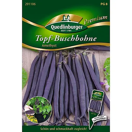 Quedlinburger SAATGUT  Gemüsesamen Buschbohne