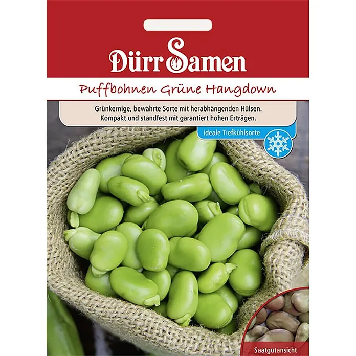 Dürr Samen Puffbohnen Grüne Hangdown -  - Samentüte Dürr Samen 'Puffbohnen Grüne Hangdown', mit frischen grünen Bohnen im Sack und getrockneten Samen. Ideal zum Einfrieren.