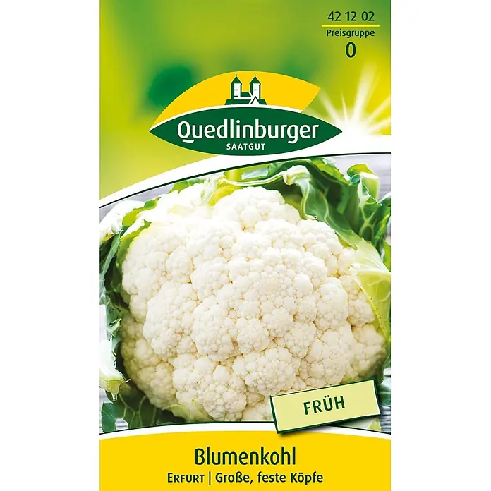 Quedlinburger SAATGUT Blumenkohl Erfurt -  - Quedlinburger Blumenkohl 'Früh' Saatgutpackung mit Bild eines großen, weißen Blumenkohls.