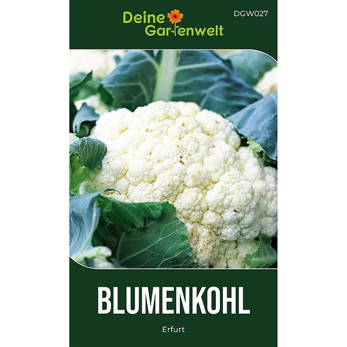 Deine Gartenwelt Blumenkohl Erfurt -  - Dunkelgrüne Blumenkohl-Samenpackung mit 'Deine Gartenwelt'-Logo, 'Blumenkohl'-Schriftzug und Bild eines weißen Blumenkohls.