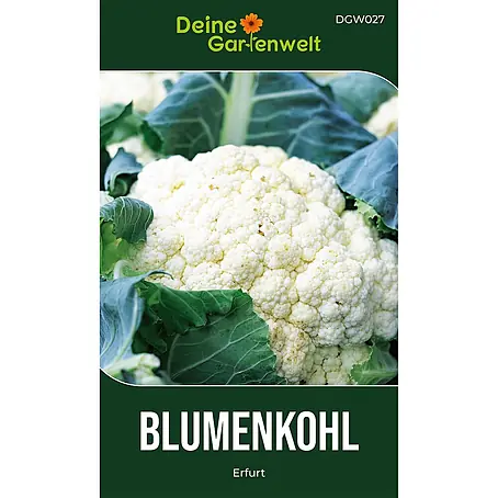 Deine Gartenwelt Blumenkohl Erfurt