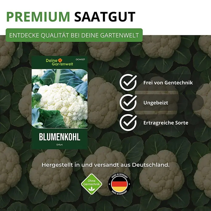 Deine Gartenwelt Blumenkohl Erfurt -  - Verpackung für Premium Blumenkohl-Samen der Sorte „Erfurt“ von Deine Gartenwelt. Gentechnikfrei, unbehandelt, ertragreich, Made in Germany.