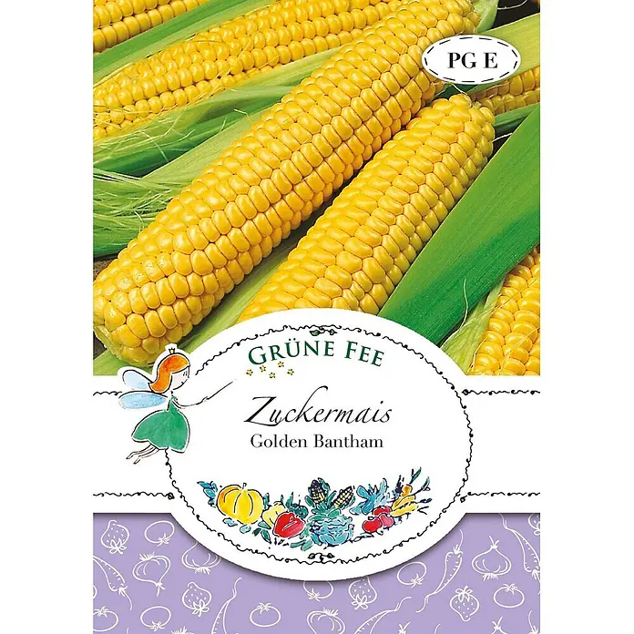 Grüne Fee Zuckermais Golden Bantam -  - Grüne Fee Zuckermais Golden Bantam Zuckermais-Samenpaket. Zeigt gelbe Maiskolben auf grünen Hüllen mit Feenmotiv.
