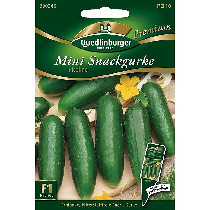 Quedlinburger SAATGUT Mini-Snackgurken Picolino -  - Grüne und goldene Samenpackung für Quedlinburger 'Mini Snackgurke Picolino', zeigt grüne Minigurken.