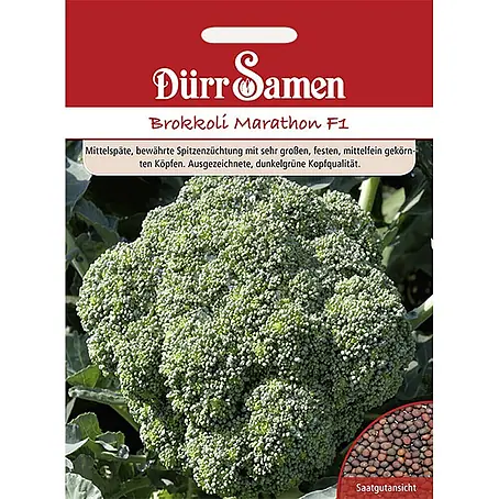 Dürr Samen  Gemüsesamen Brokkoli