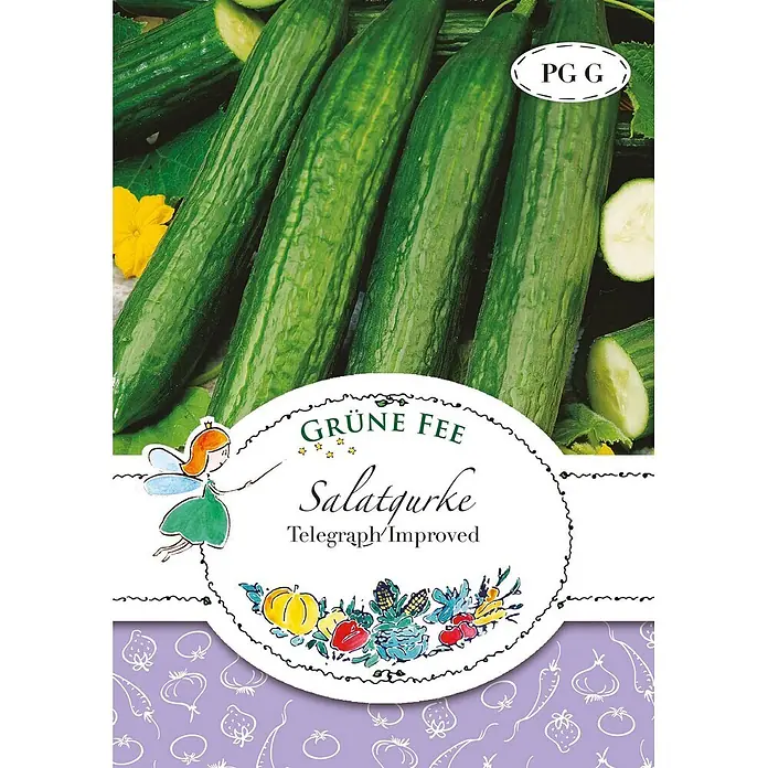 Grüne Fee Gemüsesamen Salatgurke - Cucumis sativus L., Erntezeit: Juli - Samenpäckchen für 'Grüne Fee Salatgurke Telegraph Improved' mit Feenillustration und frischen Gurken.