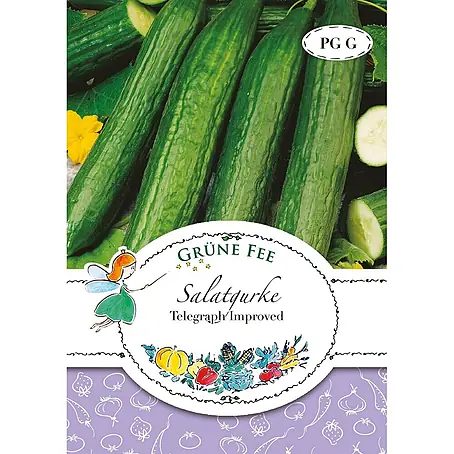 Grüne Fee  Gemüsesamen Salatgurke