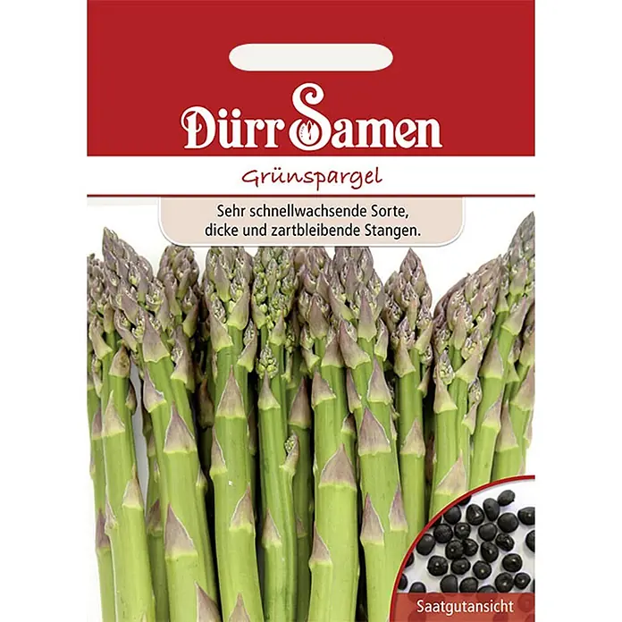 Dürr Samen Grünspargel -  - Samentüte Dürr Samen Grüner Spargel mit grünen Spargelstangen und schwarzen Samen.