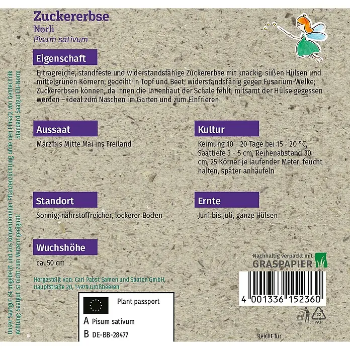 Grüne Fee Gemüsesamen Zuckererbse - Pisum sativum L. convar. axiphium Alef., Erntezeit: Juni - Samenbäckchen für Norli Zuckererbsen, hellbraunes Graspapier mit Anbauhinweisen und Feenillustration.
