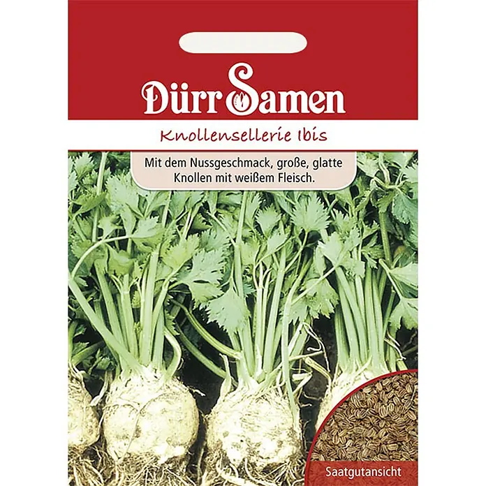 Dürr Samen Gemüsesamen Knollensellerie - Apium graveolens, Erntezeit: Juni - Samenpäckchen für Knollensellerie 'Ibis' von Dürr Samen, mit Abbildung der Pflanze und der Samen.