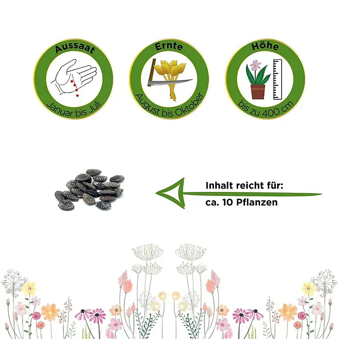 Deine Gartenwelt Passionsfrucht Maracuja -  - Samen für ca. 10 Pflanzen. Icons zeigen Aussaat (Jan-Jul), Ernte (Aug-Okt) und Wuchshöhe (bis 400 cm) an.