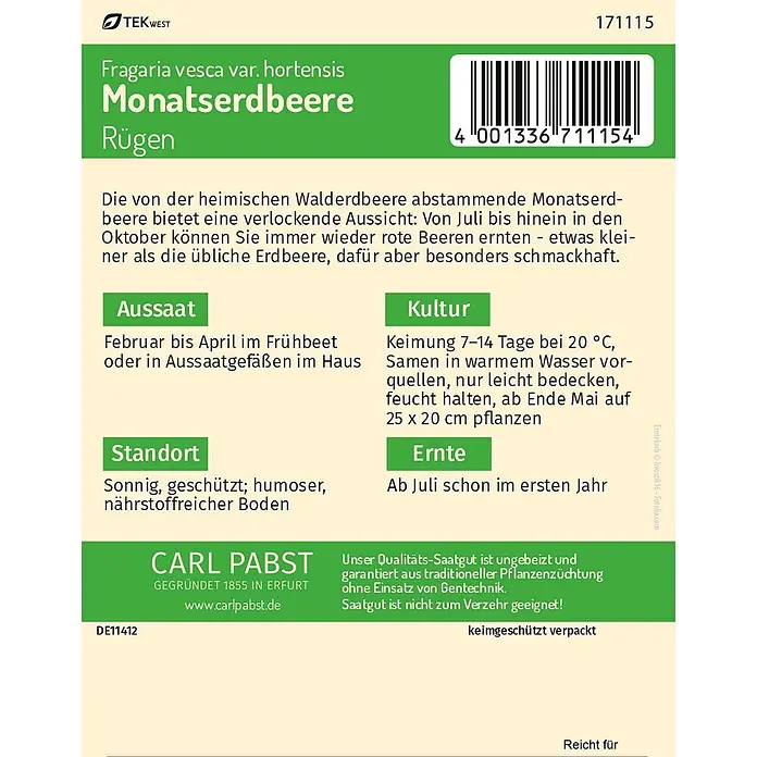 Pabst Keimkraft Obstsamen Monatserdbeere - Fragaria vesca var. hortensis, Erntezeit: Juli - Samenpackung für Monatserdbeere 'Rügen' (Fragaria vesca var. hortensis) mit grünem Kopfbereich, Anleitungen und Barcode.