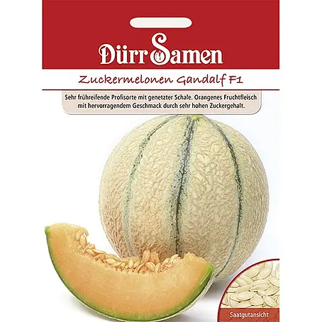Dürr Samen  Obstsamen Zuckermelone