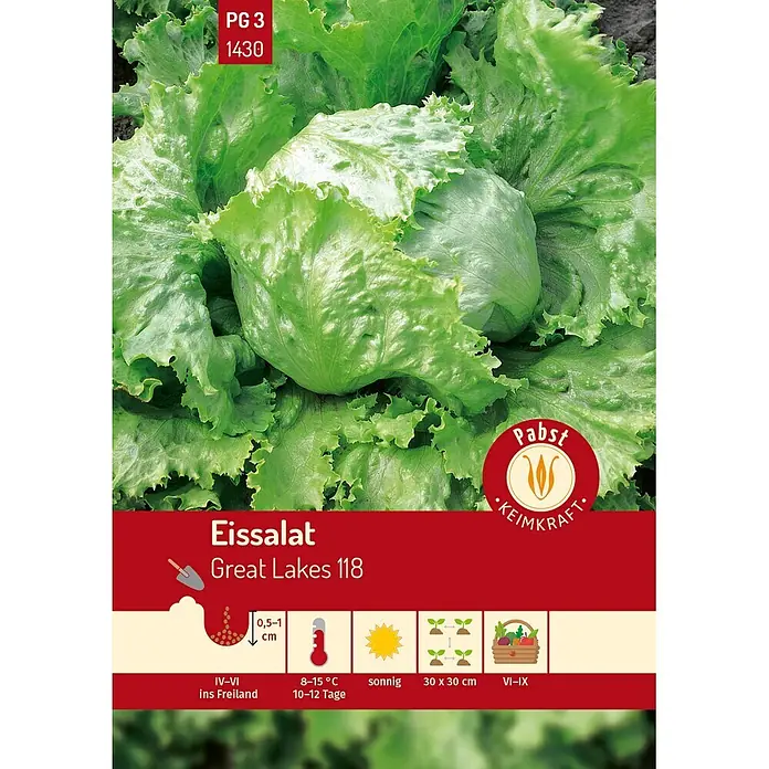 Pabst Keimkraft Eissalat groß & fest Great Lakes 118 -  - Samenpaket für 'Great Lakes 118' Eissalat mit Abbildung der Pflanze und Anbauanleitung.