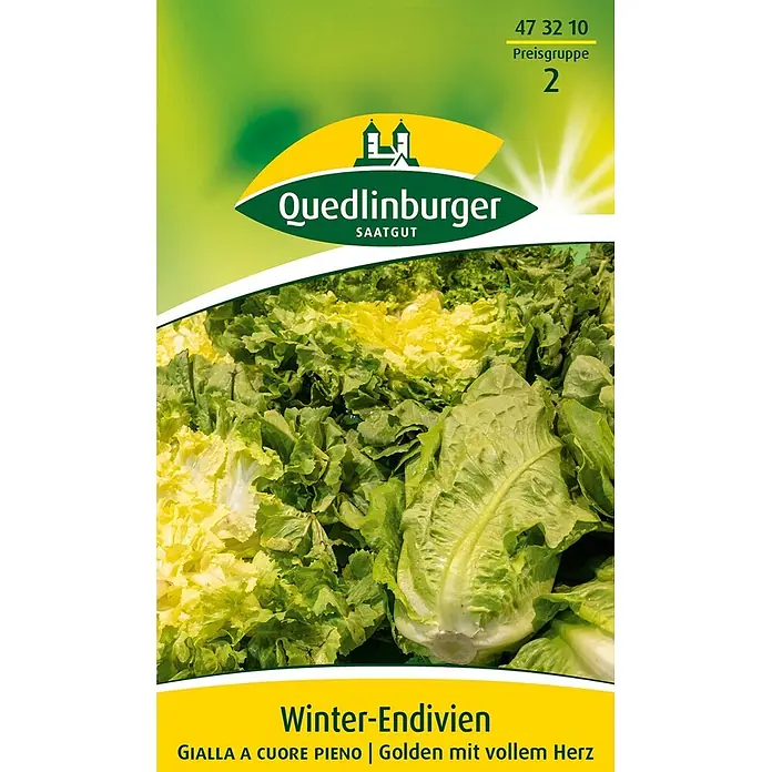 Quedlinburger SAATGUT Winterendivien Gialla a cuore -  - Samentüte für Quedlinburger Winter-Endivien mit Abbildung von grünem und gelbem Endiviensalat.