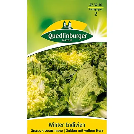 Quedlinburger SAATGUT Winterendivien Gialla a cuore