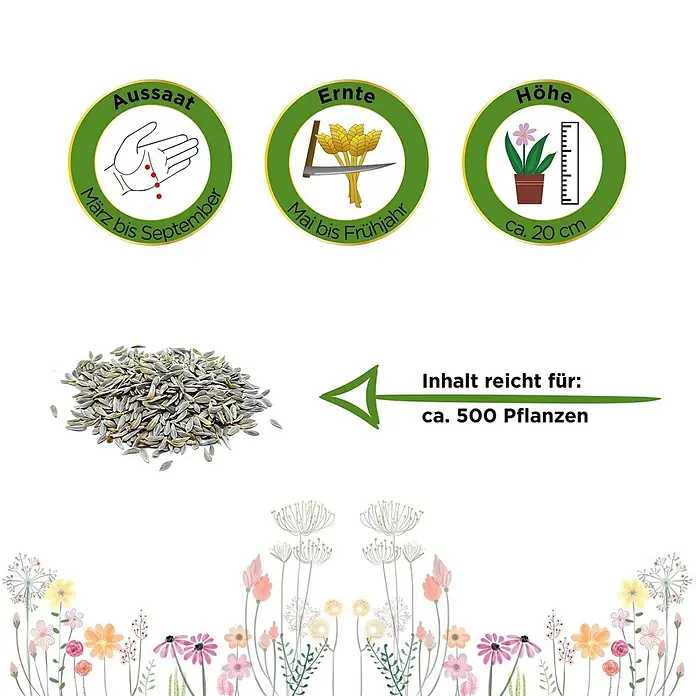 Deine Gartenwelt Winter-Kopfsalat Maiwunder -  - Anbauinfos für Samen: Aussaat März-Sep, Ernte Mai-Frühjahr, Höhe ca. 20cm. Inhalt für ca. 500 Pflanzen. Ein Haufen Samen ist abgebildet.