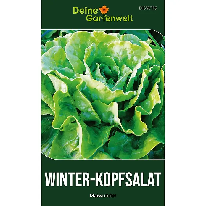 Deine Gartenwelt Winter-Kopfsalat Maiwunder -  - Samentüte für Winter-Kopfsalat 'Maiwunder', zeigt einen lebhaften grünen Salatkopf.