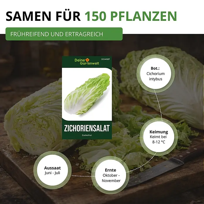 Deine Gartenwelt Zichoriensalat Zuckerhut -  - Samenpaket für 150 Zichorien-Pflanzen 'Zuckerhut' mit Anbauinformationen wie Aussaat und Erntezeiten.